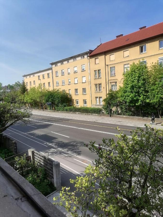 Pirc Apartment On Dunajska Street Любляна Экстерьер фото