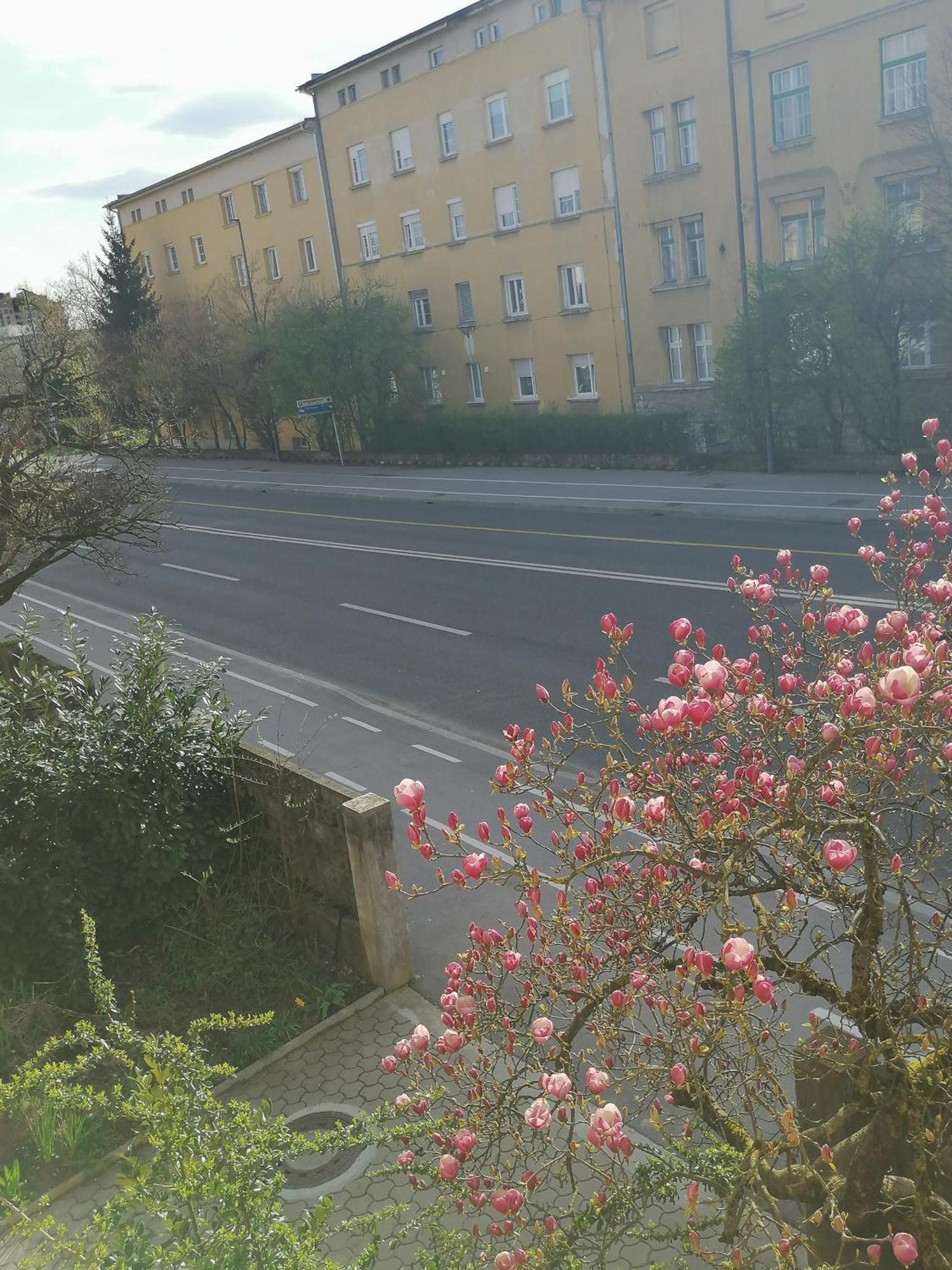 Pirc Apartment On Dunajska Street Любляна Экстерьер фото